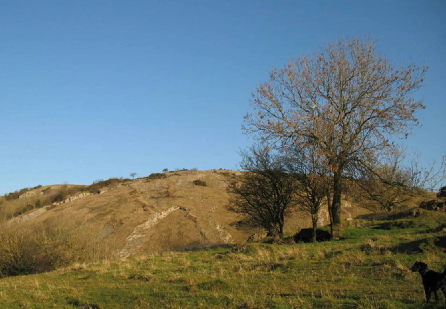 An image depicting the trail Draycott Sleights and its surrounding area.