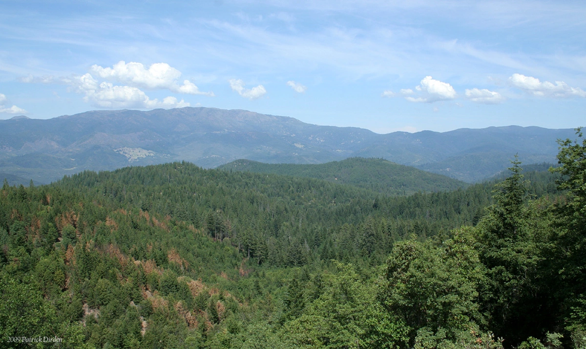 Snow Mountain West via Summit Trail
