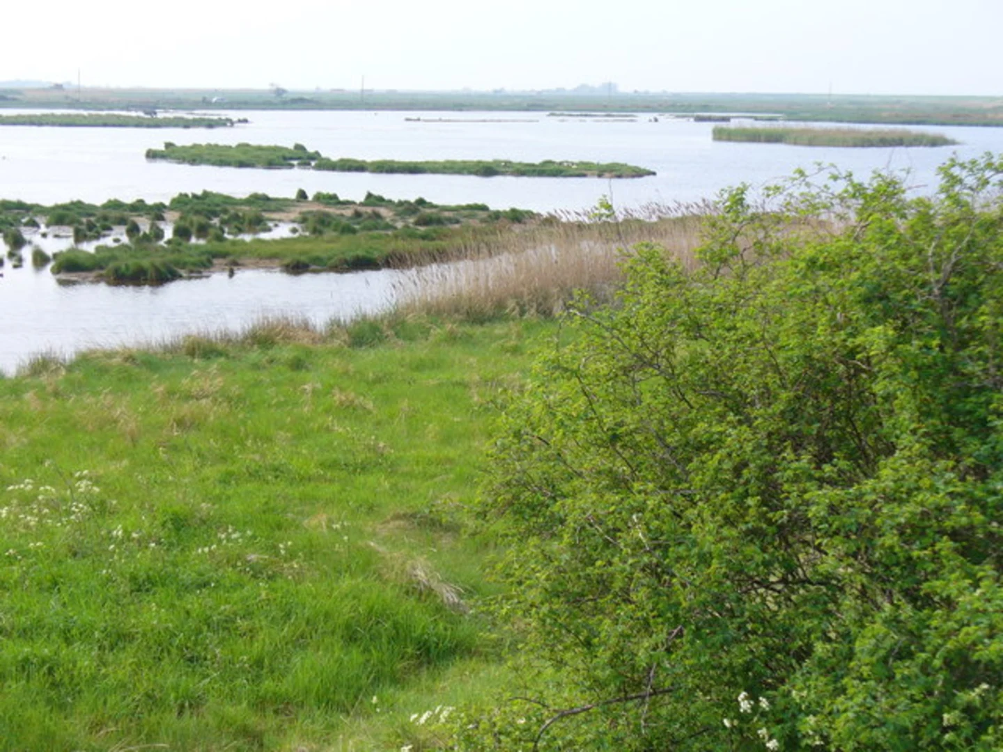 An image depicting the trail Faversham to Teynham Walk and its surrounding area.