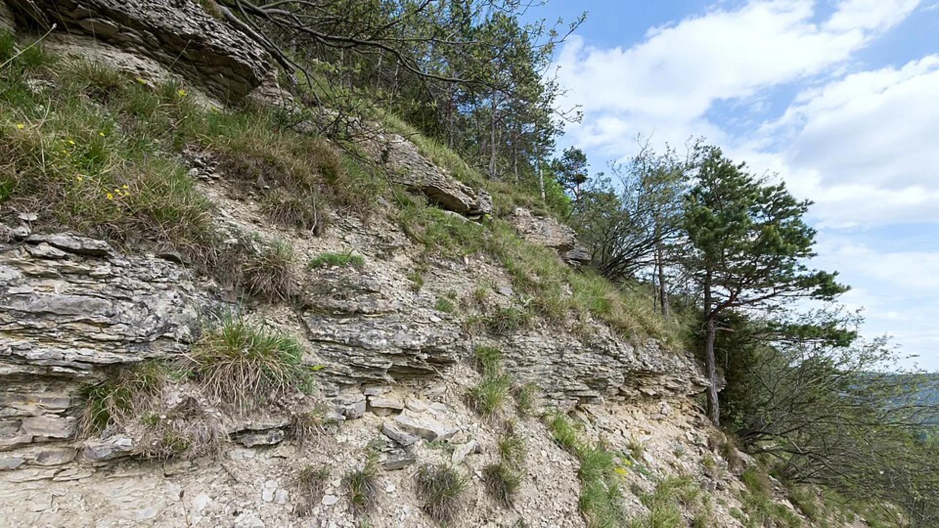 An image depicting the trail Burg Greifenstein, Geiersleite and Kesselberg Loop and its surrounding area.