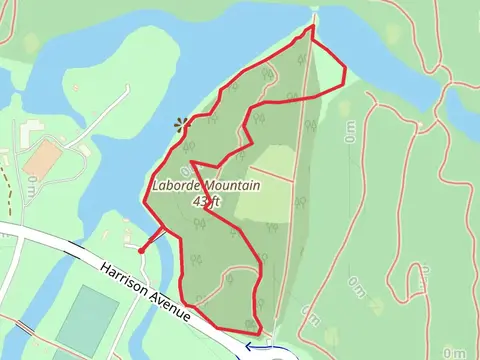 Couterie Forest Loop