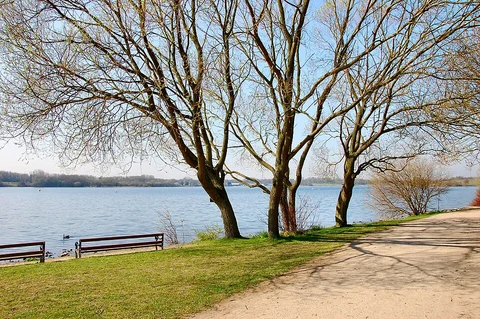 An image depicting the trail Hollins Green to Golborne Walk and its surrounding area.