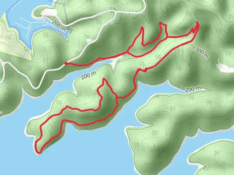 Jack Clayborn Millennium and Merritt Ridge Loop Trail