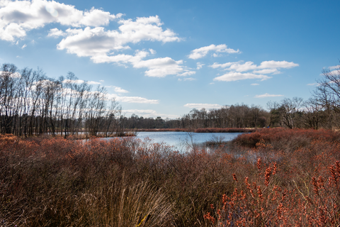 De Borg, Siepelveen and Mooi Zeegse Loop