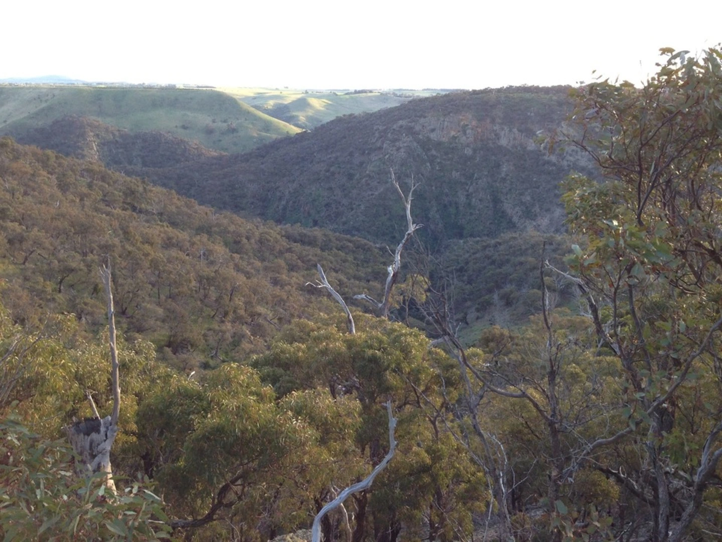 An image depicting the trail Pyramid Rock Trail - Ironbark Gorge and its surrounding area.