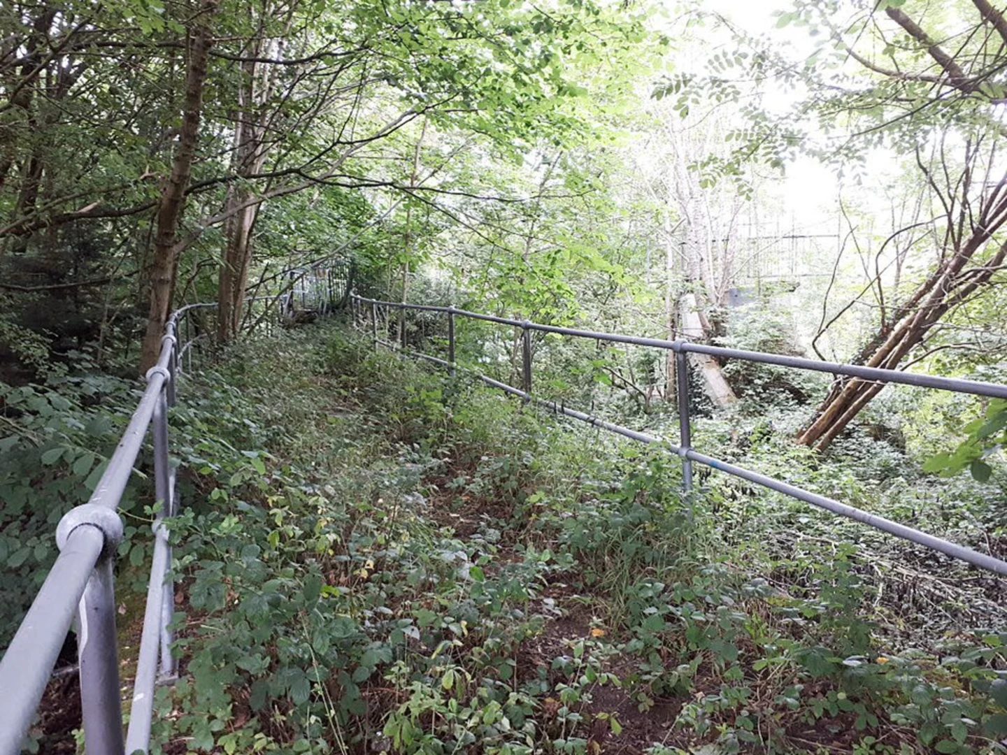 An image depicting the trail Hirst Wood, Delph Wood, Shipley Glen and Baildon Moor and its surrounding area.