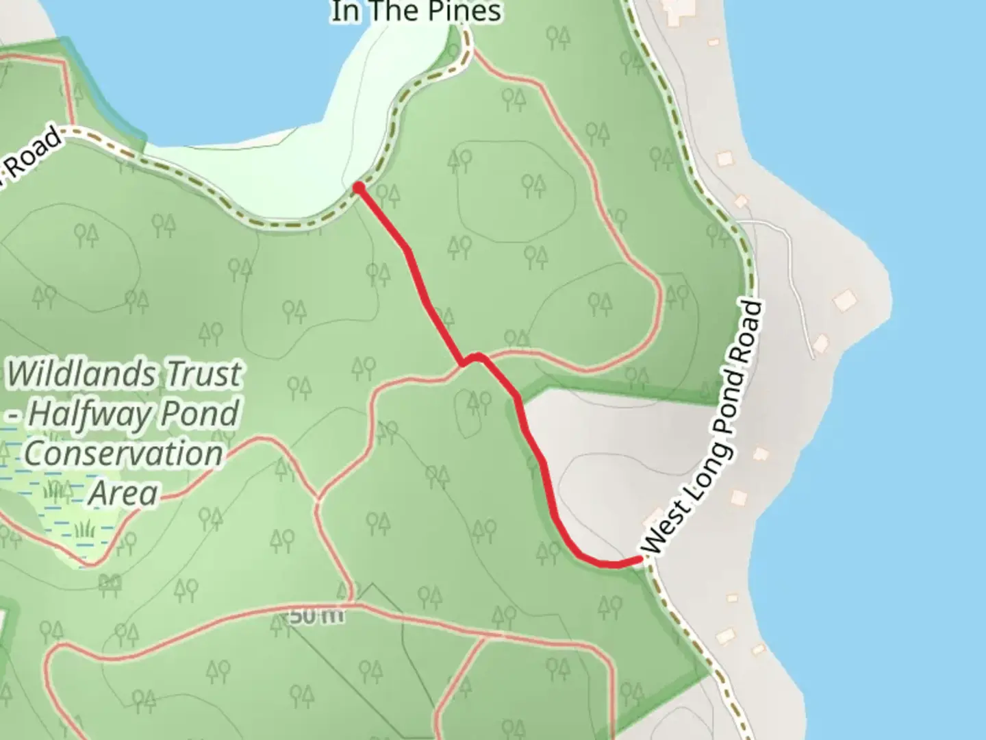 An image depicting the trail Gallows Pond Road Trail and its surrounding area.