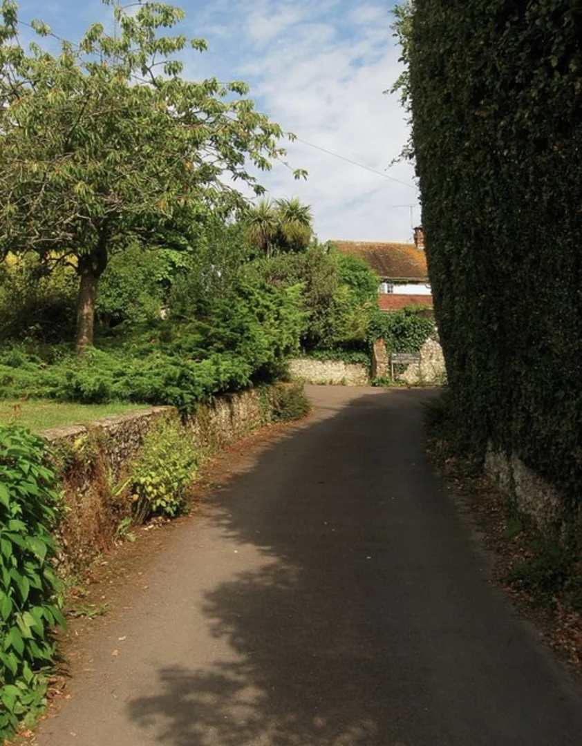 An image depicting the trail Dale Park Loop and its surrounding area.