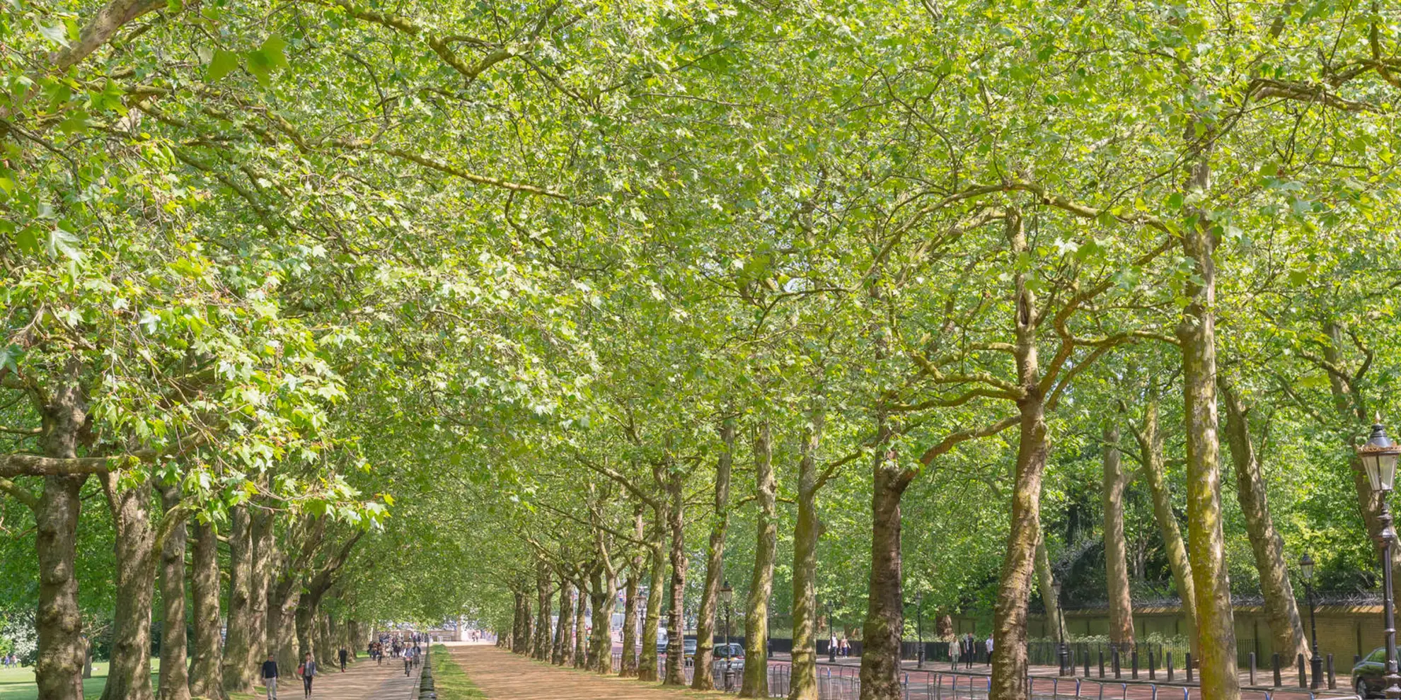 An image depicting the trail Queensway to Buckingham Palace and its surrounding area.