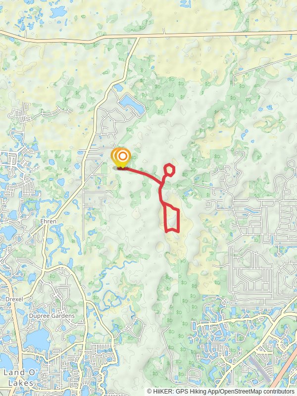 Big Cypress Swamp Loop