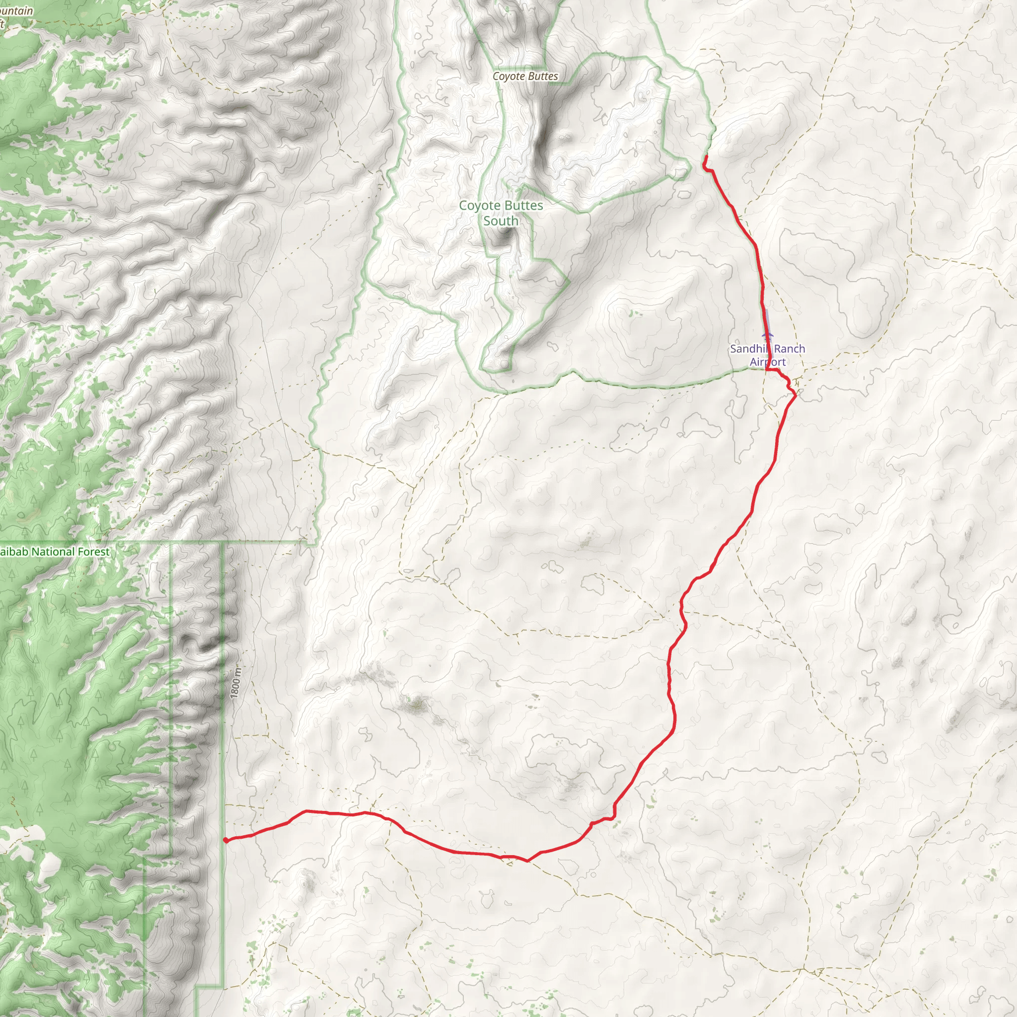 Pine Tree Road mobile static map