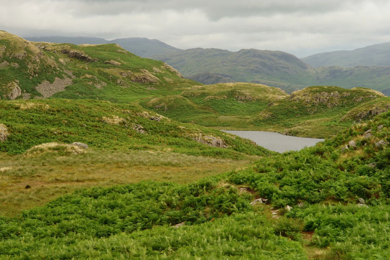 An image depicting the trail Blea Tarn Walk from Watendlath and its surrounding area.