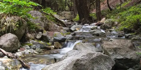 An image depicting the trail Sykes Hot Springs and its surrounding area.