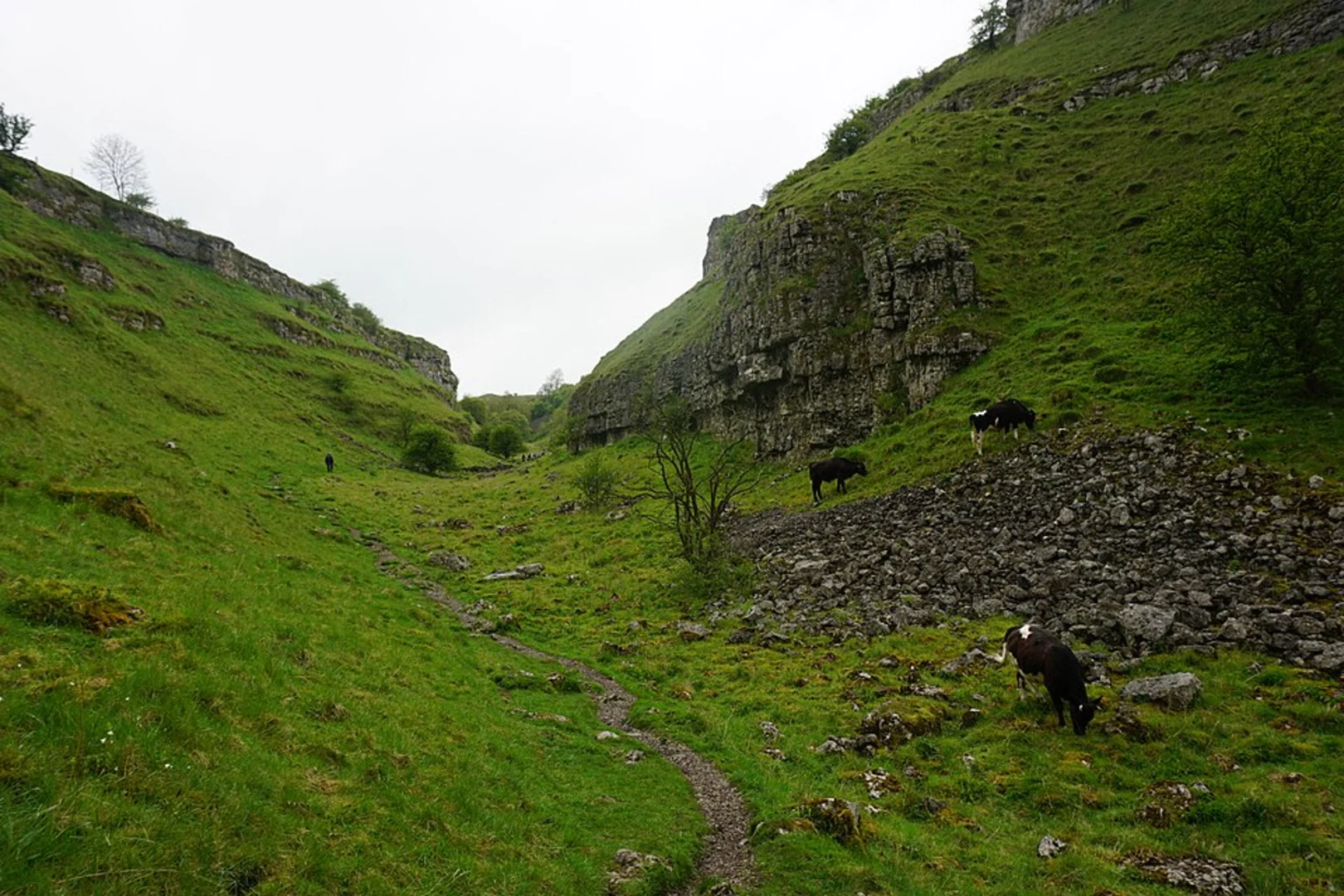 An image depicting the trail Over Haddon Country Park and Lathkill Dale Nature Reserve and its surrounding area.