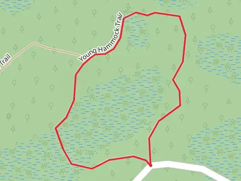 Young Hammock Loop Trail