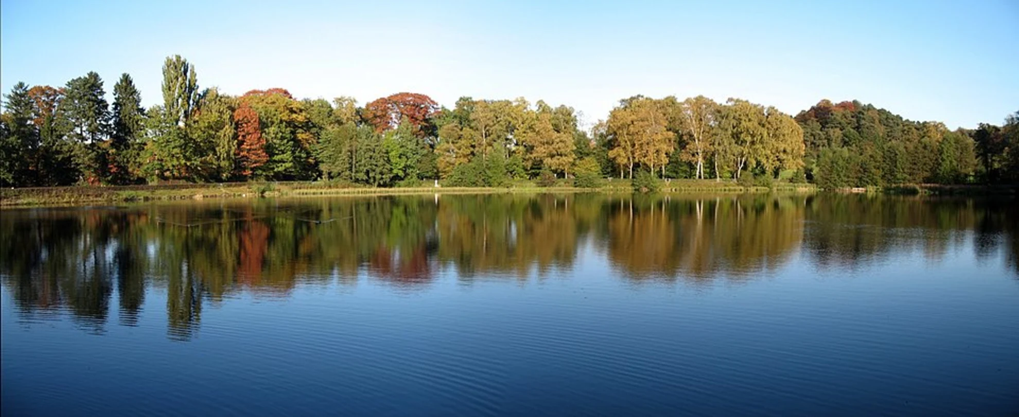 An image depicting the trail Stauanlage Kupferbach Loop and its surrounding area.