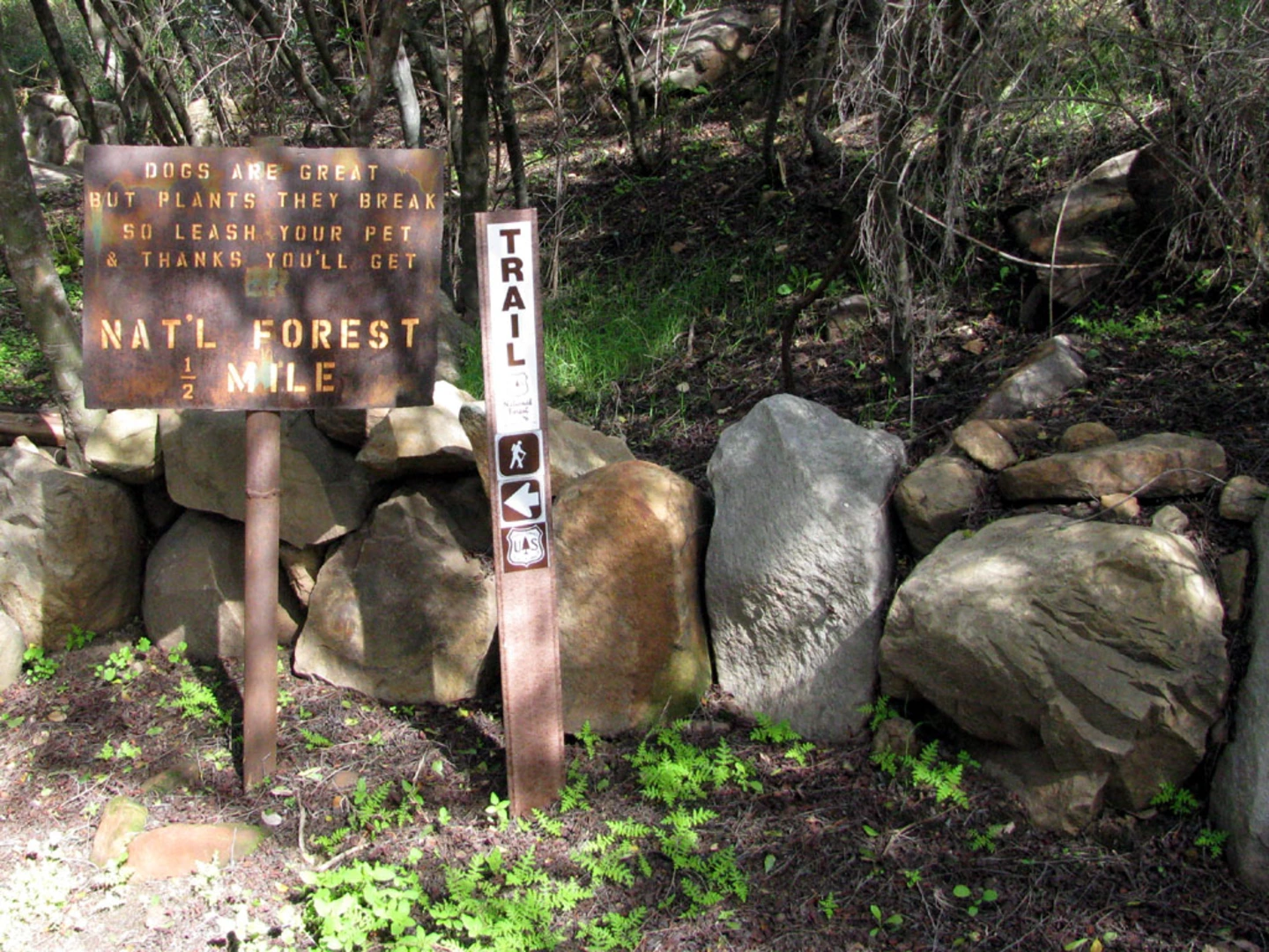 An image depicting the trail Pratt Trail - Short and its surrounding area.