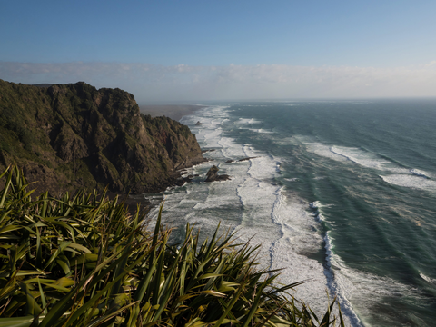 Mercer Bay Loop Track