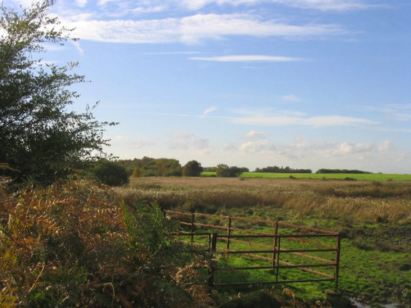 An image depicting the trail Walberswick Common, Deadman's Covert and Blythburgh Walk and its surrounding area.
