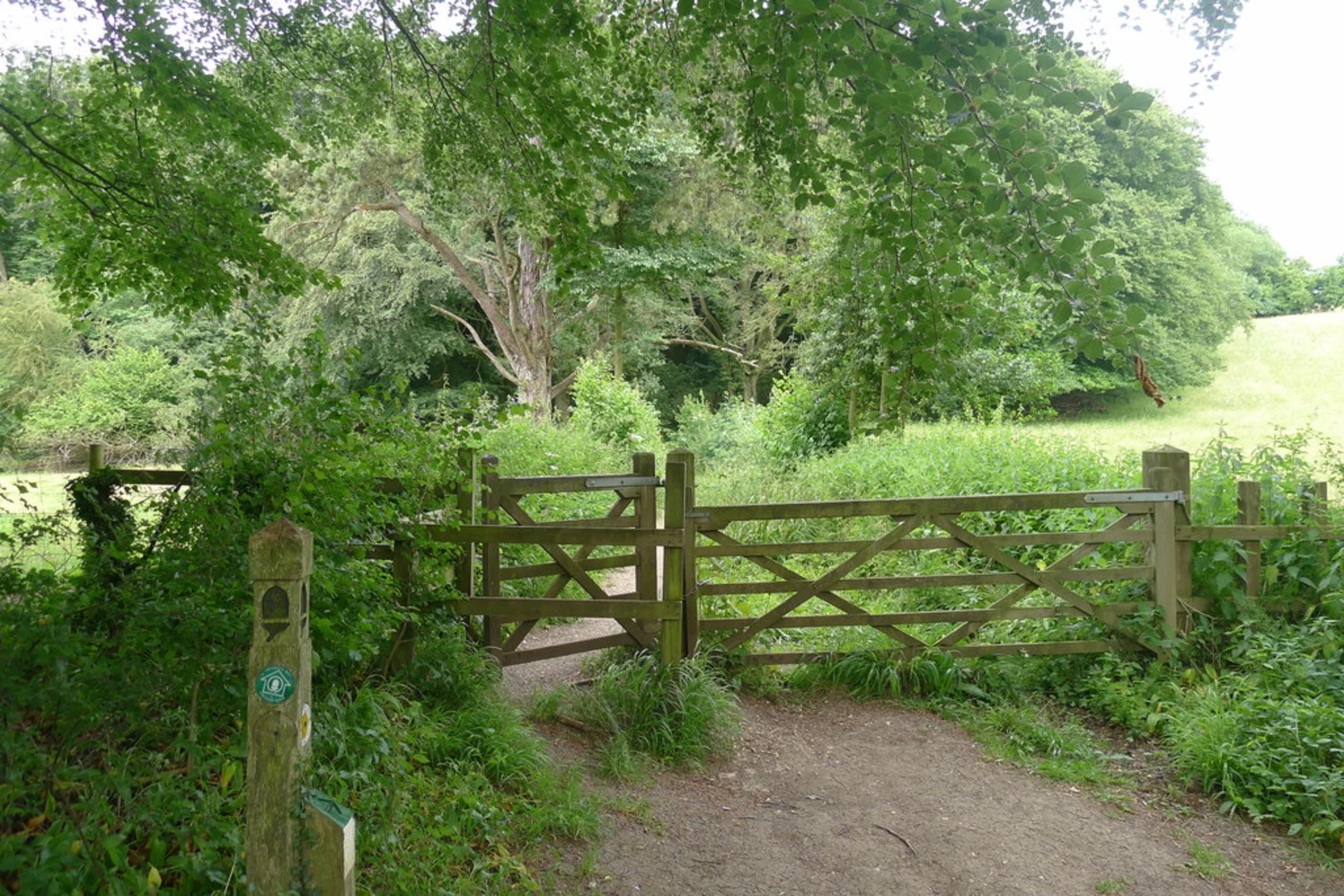 An image depicting the trail Coopers Hill Local Nature Reserve Loop and its surrounding area.