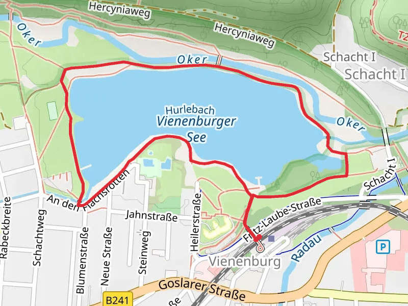 Vienenburger See Loop