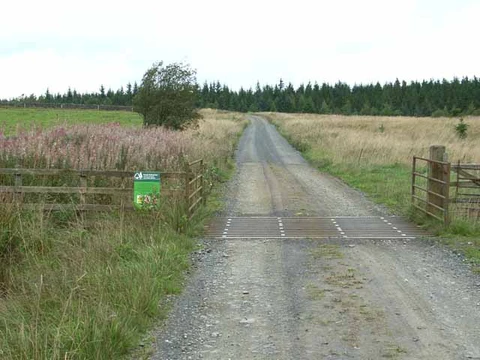 An image depicting the trail Watson's Pike Loop from Allendale and its surrounding area.