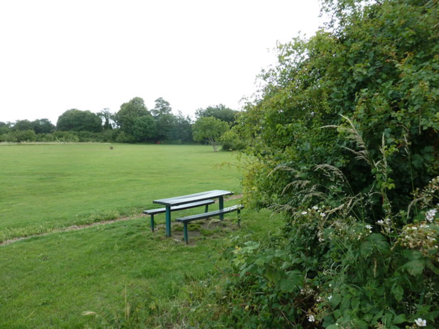 An image depicting the trail Leesland Park and Brockhurst Walk and its surrounding area.