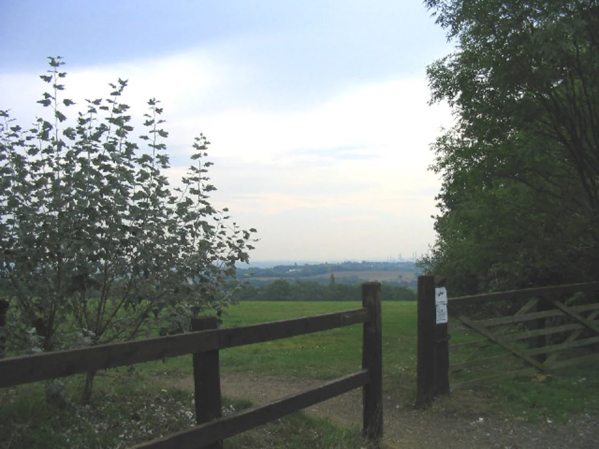 Willow Park Nature Reserve and Langdon Hills Loop