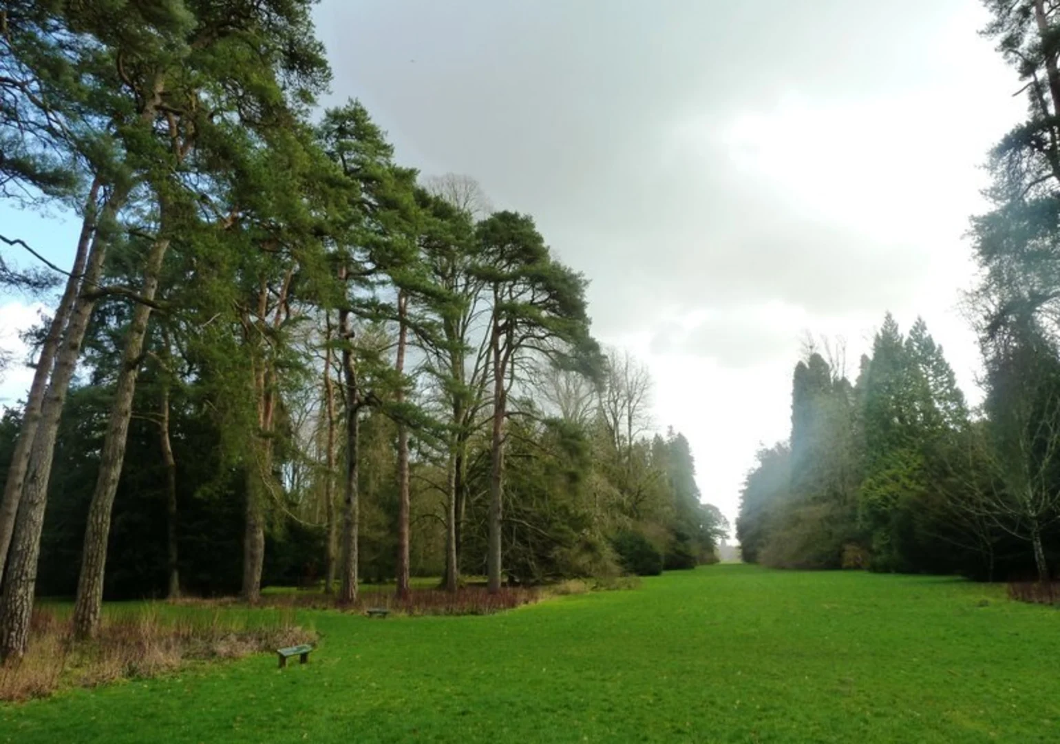 An image depicting the trail Westonbirt Arboretum Loop and its surrounding area.