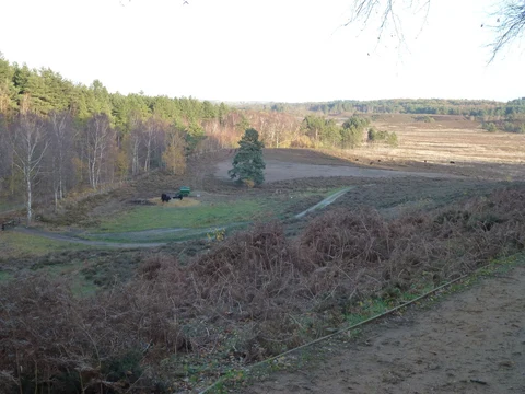 Dersingham Bogs Footpath and Clifftop Dersingham Bogs Loop