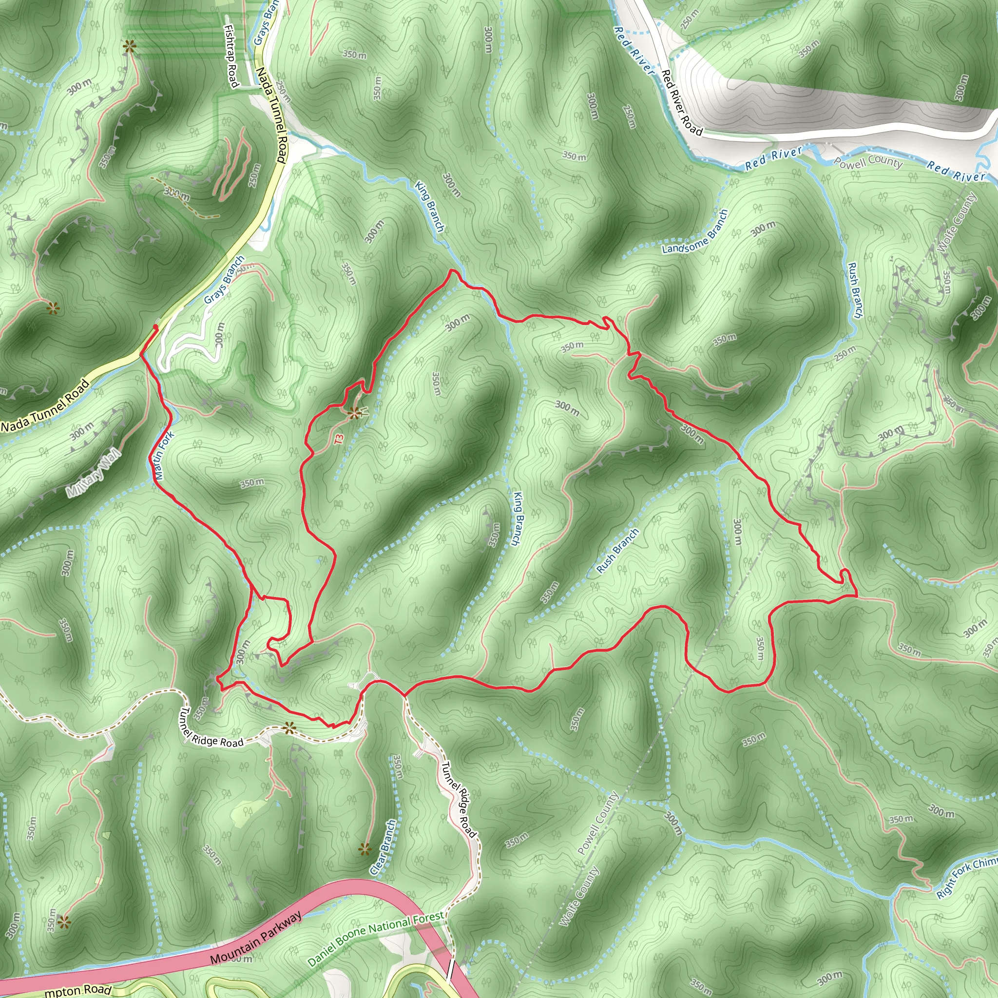 Rough Trail and Sheltowee Trace Trail Loop mobile static map