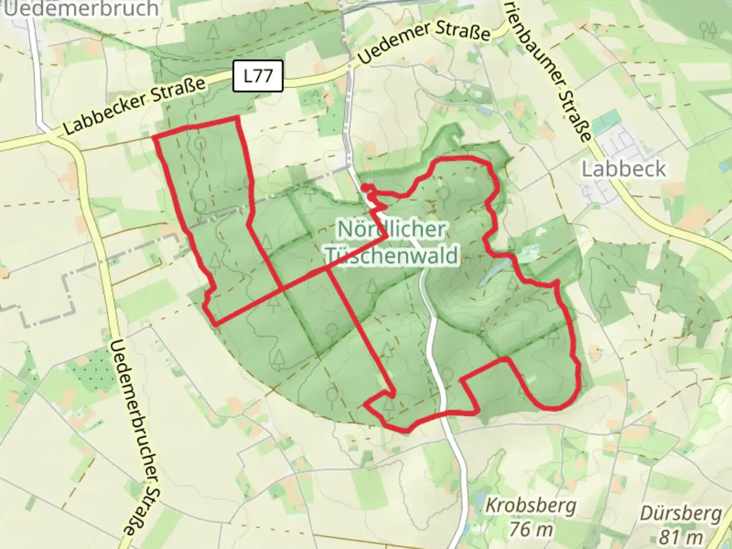 An image depicting the trail NördlicherTüschenwald Loop and its surrounding area.