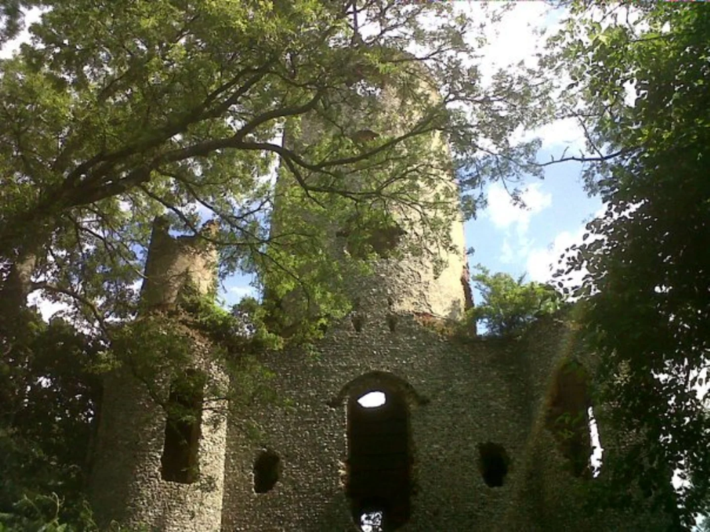 An image depicting the trail Stansted Park Loop and its surrounding area.