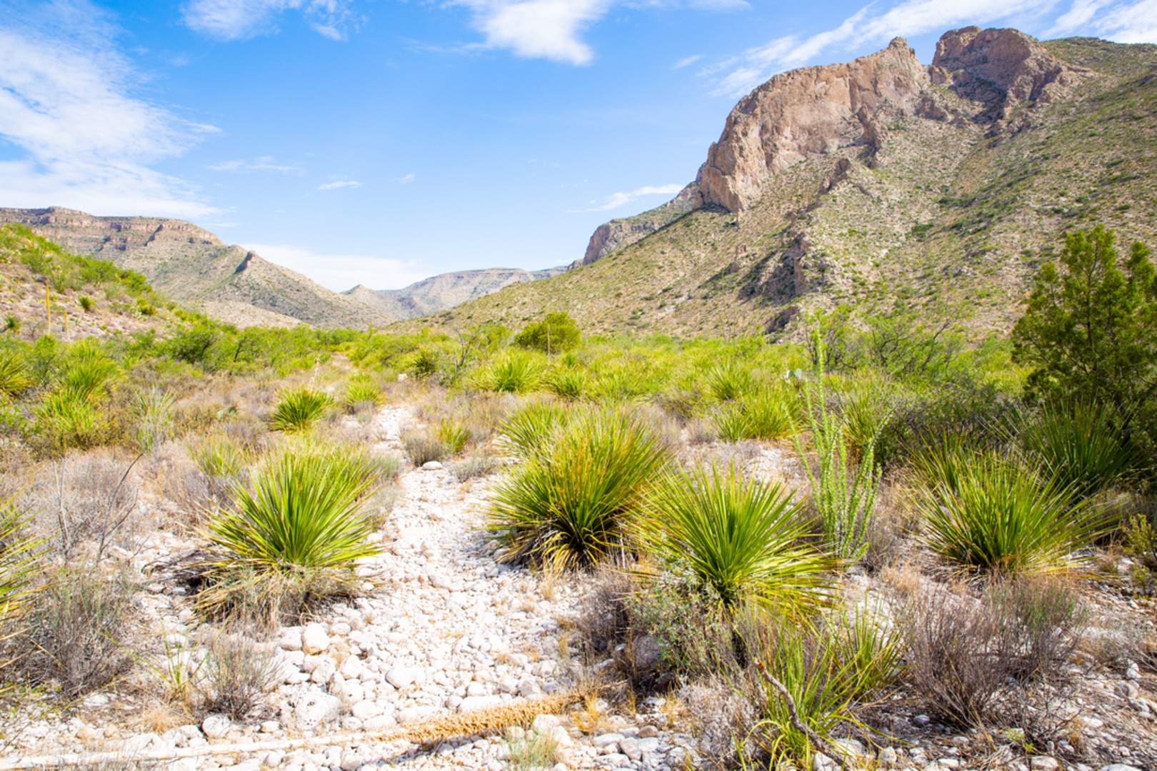 An image depicting the trail Slaughter Canyon Cave Trail and its surrounding area.