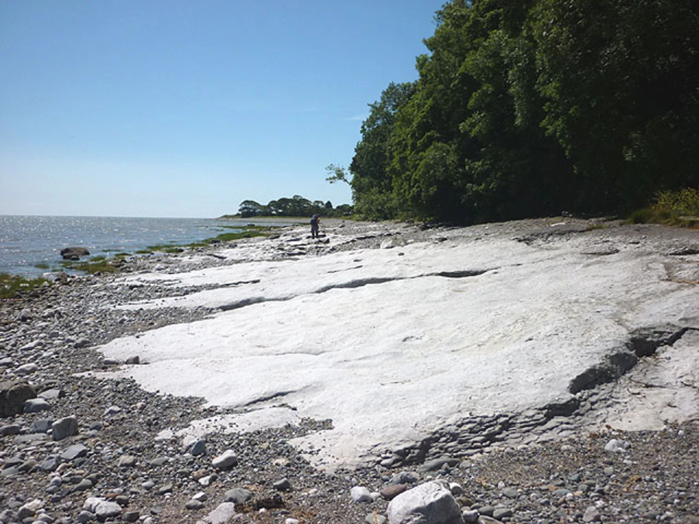 An image depicting the trail Canal Foot, Bardsea and Baycliff Loop and its surrounding area.