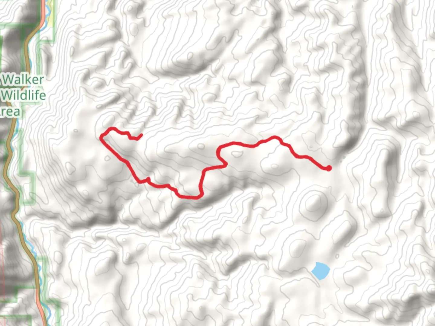 An image depicting the trail Upper Deep Trail and its surrounding area.