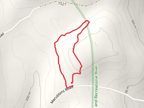 Damascus Forest Loop