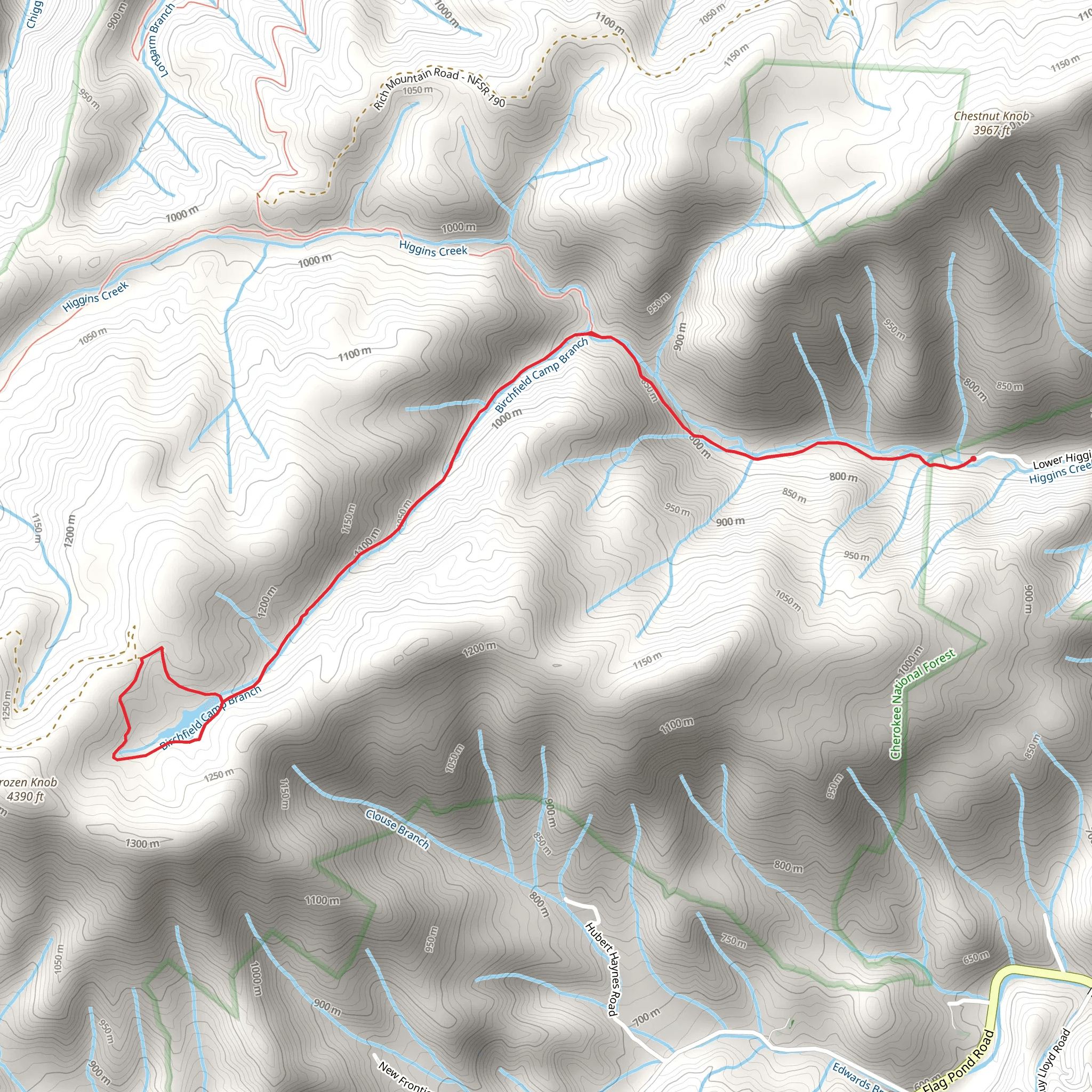 Birchfield Camp and Higgins Creek Trail mobile static map