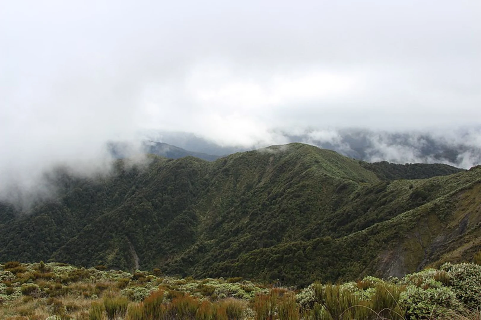 An image depicting the trail Waiopehu Hut Loop and its surrounding area.