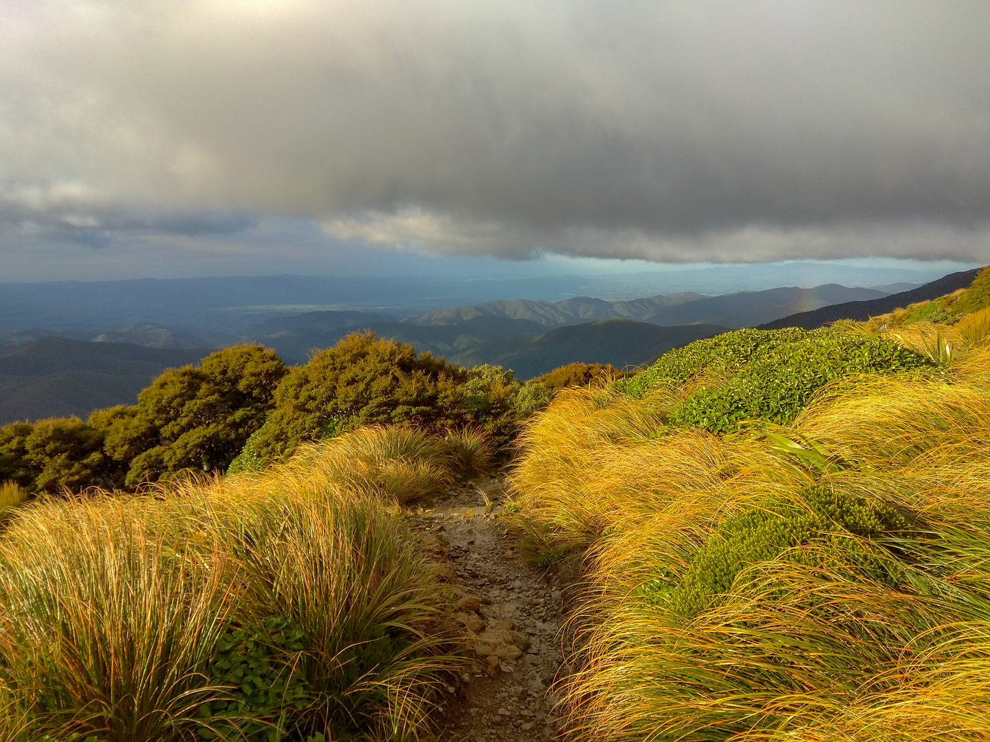 An image depicting the trail Mt Holdsworth - Jumbo Circuit and its surrounding area.