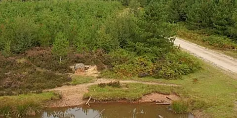 An image depicting the trail Abraham's Valley and Haywood Warren from Severn Springs and its surrounding area.