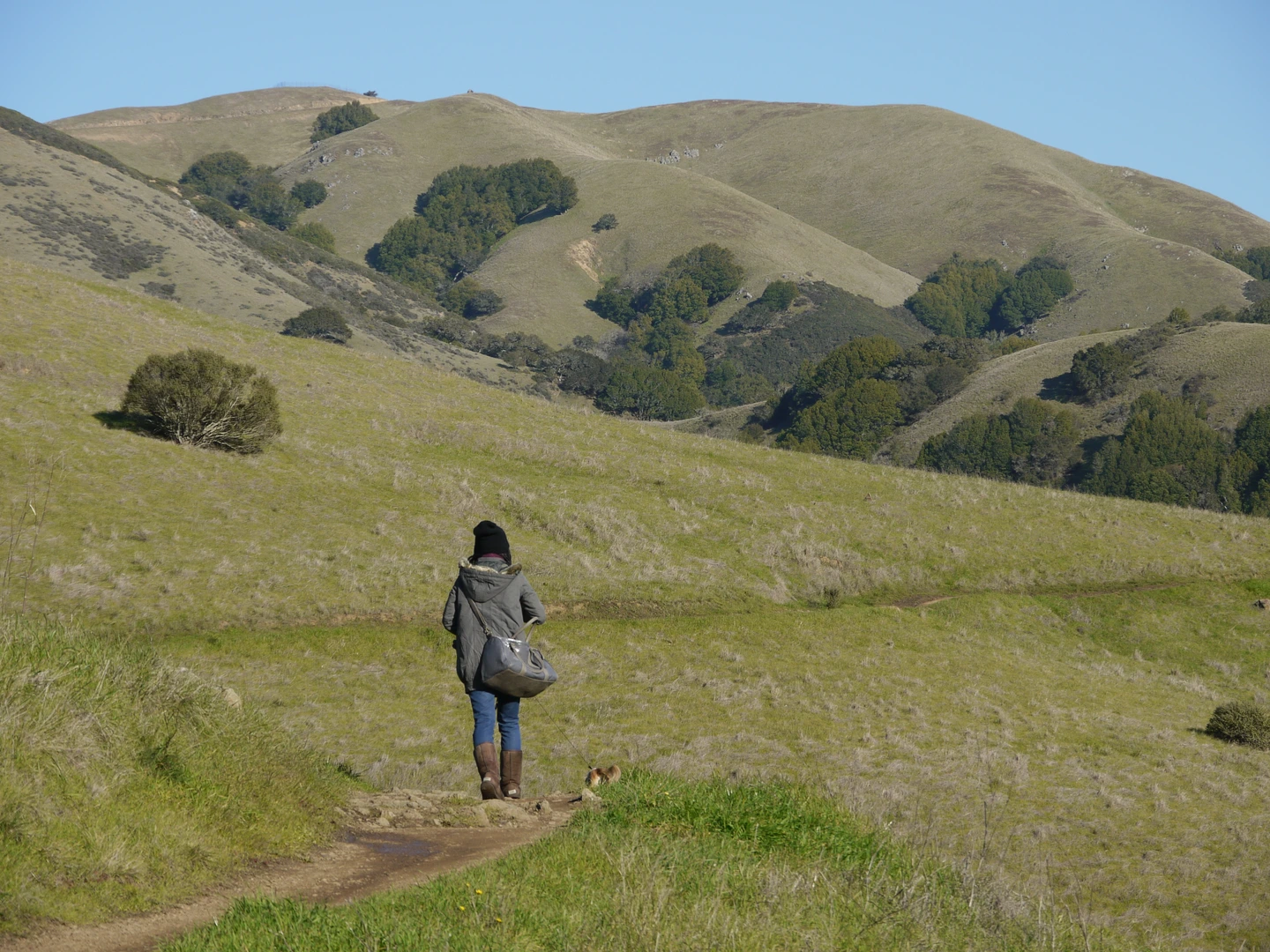 An image depicting the trail Loma Alta and Lower Ridge Loop Trail and its surrounding area.