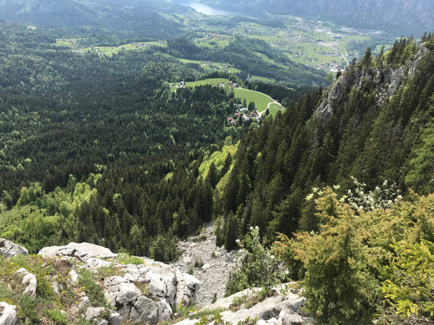 An image depicting the trail Hütteneckalm Hike and its surrounding area.