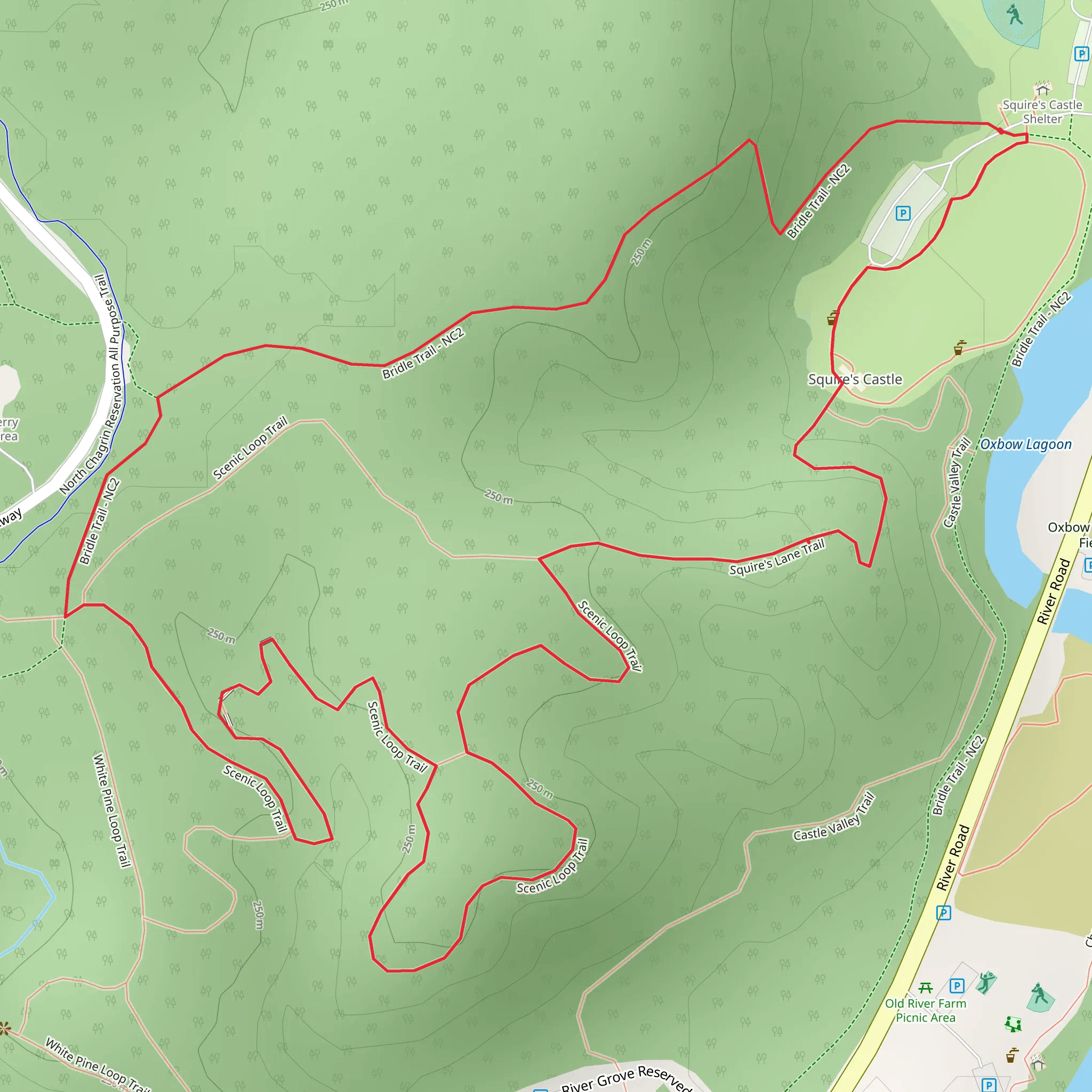 Bridle Trail, Scenic Loop Trail and Squire's Lane Trail Loop mobile static map