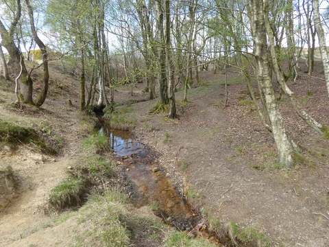 An image depicting the trail Airman's Grave Loop and its surrounding area.