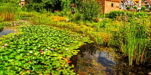 An image depicting the trail Burgwaldpfad and its surrounding area.