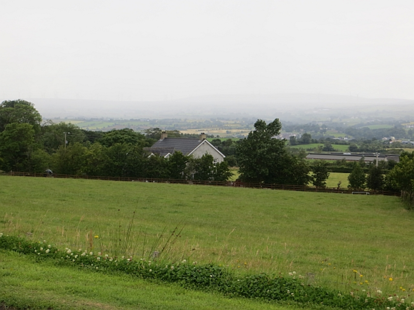An image depicting the trail Tannyranny and its surrounding area.