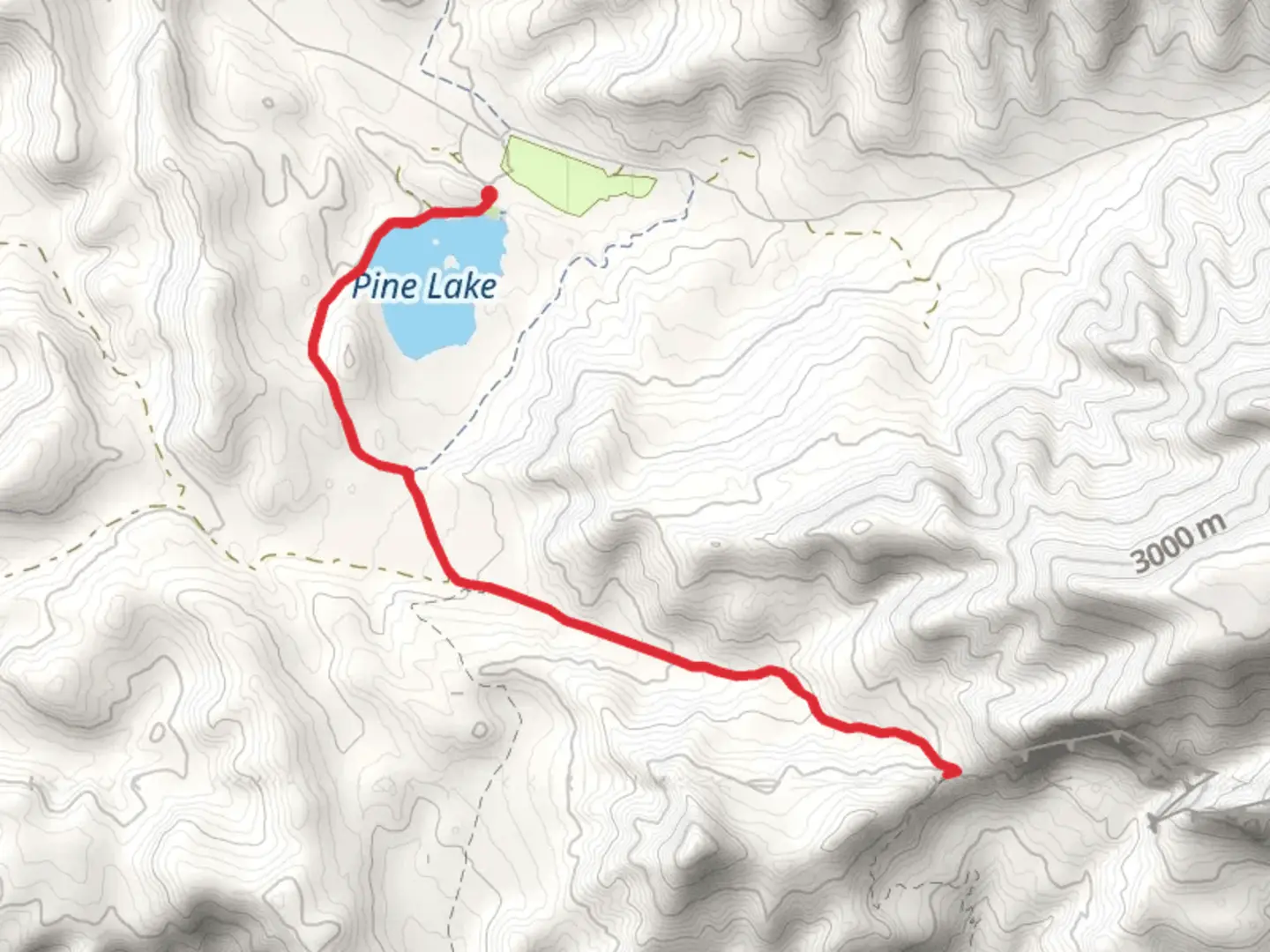 An image depicting the trail Pine Lake South Walk and its surrounding area.