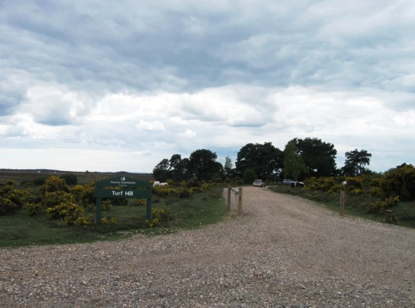 An image depicting the trail Ogden Reservoir, Piethorne Reservoir and Old House Ground Plantation Loop and its surrounding area.