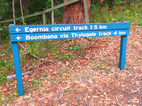 Egernia Circuit Track